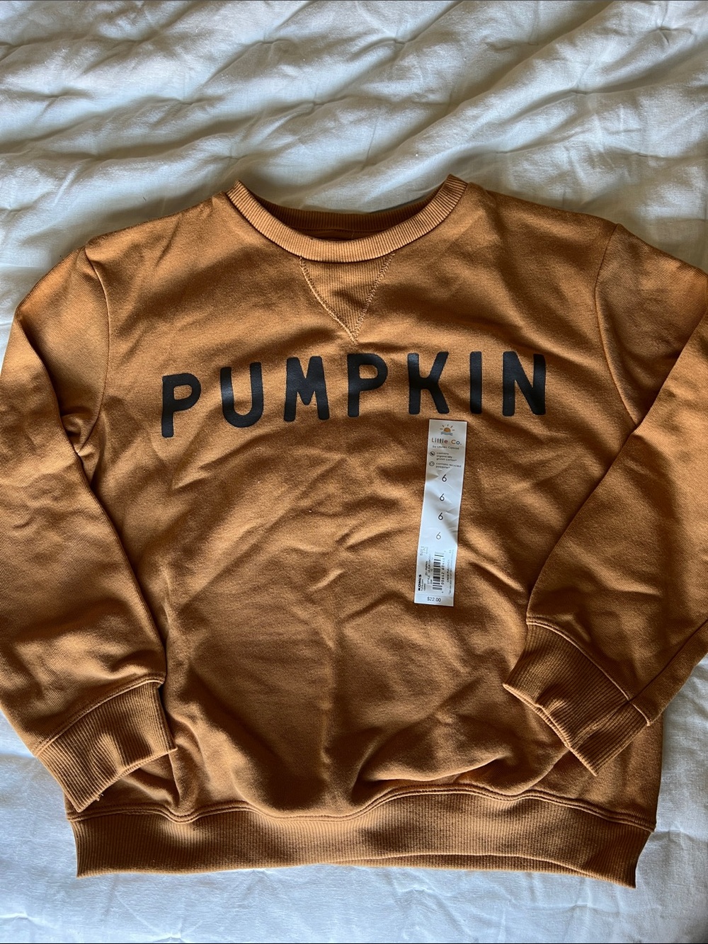 Kids Pumpkin Graphic Crewneck Sweatshirt - Orange
